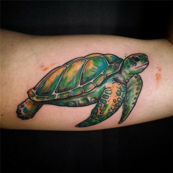 ▷ 1001 + idées magnifiques pour votre tatouage tortue Modèle