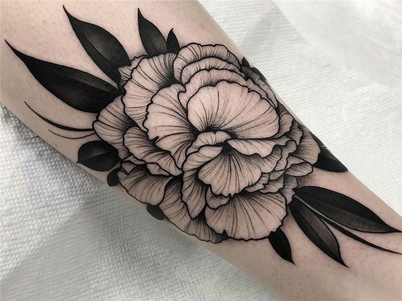 101 Amazing Carnation Tattoo Designs You Need To See! Outson