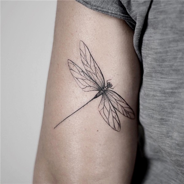 101 Dragonfly Tattoo Designs - Best Rated Designs in 2021 Dr