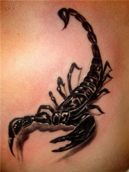 105+ Wonderful 3D Scorpion Tattoos Matching tattoos, Tattoo
