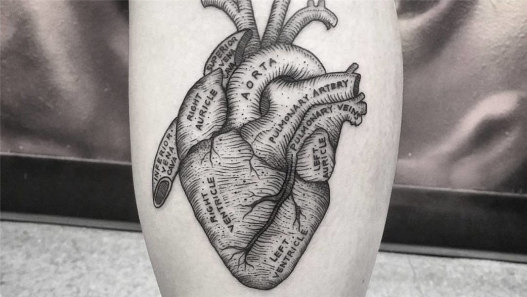 10 Best Anatomical Heart Tattoo Ideas That Will Blow Your Mi