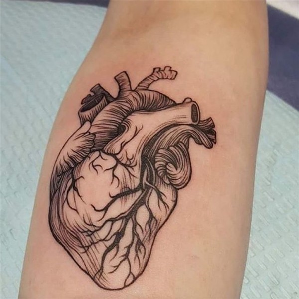 110+ Best Anatomical Heart Tattoo Designs & Meanings - (2019