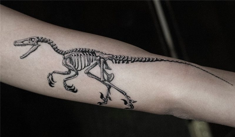 12 Fascinating Scientific Illustration Tattoos - Tattoo.com