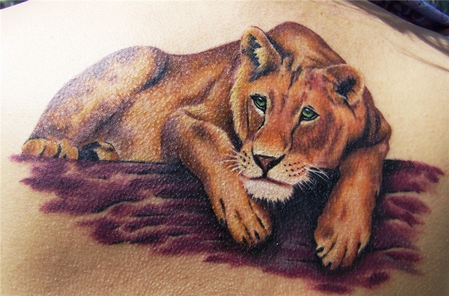 12 Wonderful Lioness Tattoo Images
