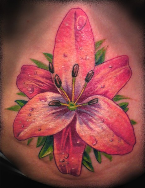 15 Lily Tattoo Images, Pictures And Ideas