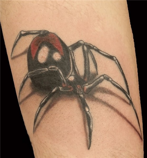 17+ Awesome Letrodectus Tattoos