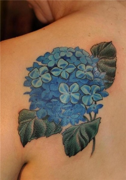 20 Hydrangea Tattoos Hydrangea tattoo, Blue rose tattoos, Ta