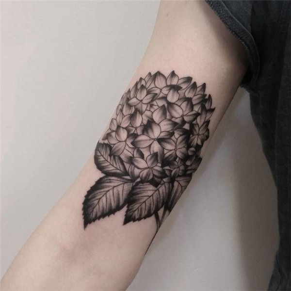20 Splendid Hydrangea Tattoo Designs - TattooBloq Hydrangea