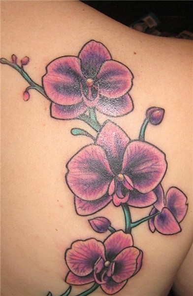 229 Splendid Orchid Tattoos CreativeFan