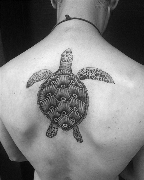 242 Superb Sea Turtle Tattoos - Parryz.com