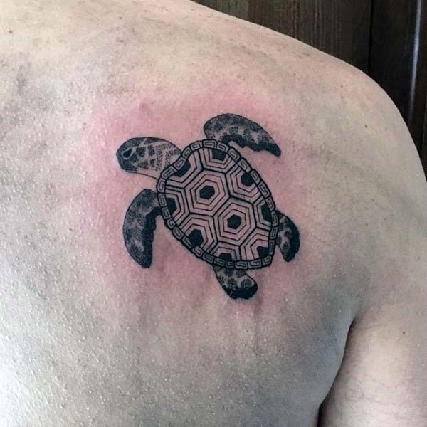 242 Superb Sea Turtle Tattoos - Parryz.com