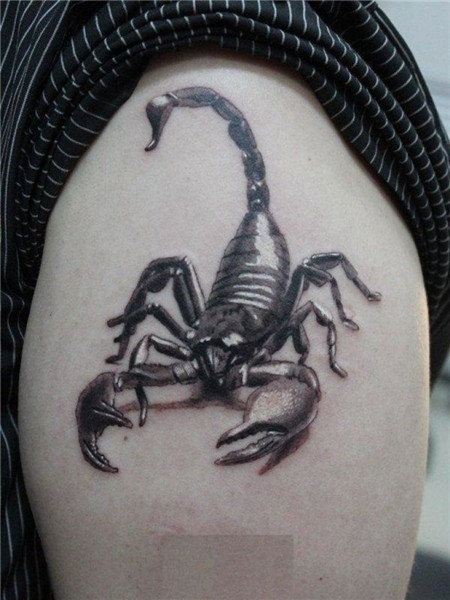 25 Best Scorpion Tattoos inside Scorpio Tattoo Skorpioner, P