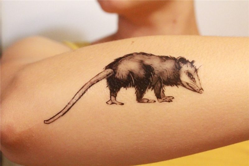 26 Really Awesome Things For All You 'Possum Lovers