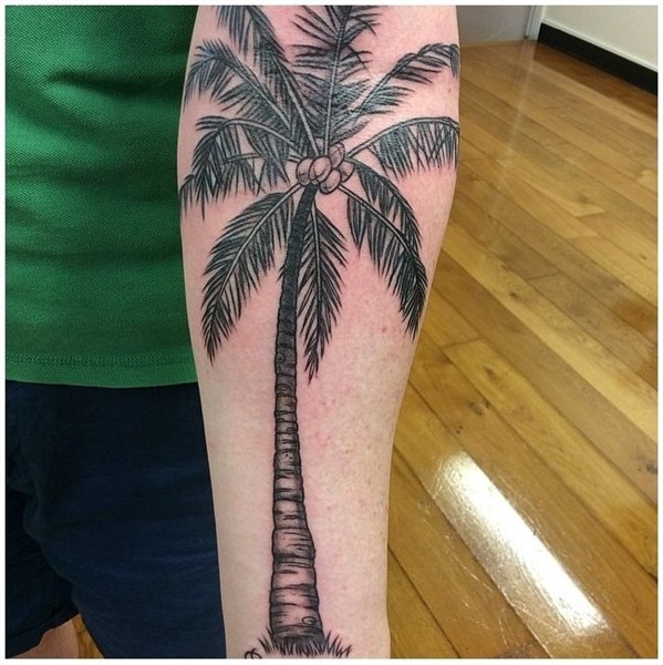 30 Superb Palm Tree Tattoo Designs and Meaning Tree tattoo m