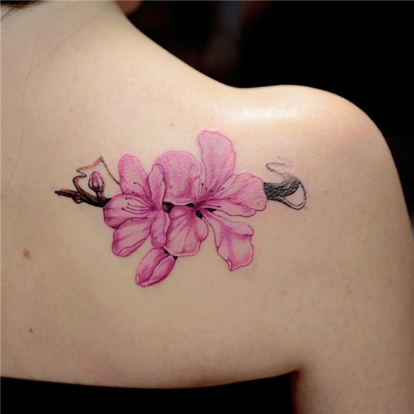 31 Most Amazing Cherry Blossom Tattoos That Looks Nice On Yo