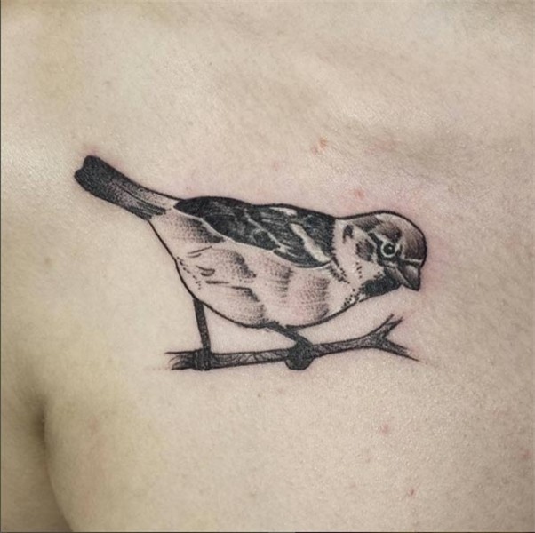 32 Spectacular Songbird Tattoos for Inspiration - TattoosHub