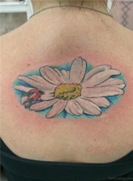 34 Traditional Daisy Flowers Tattoos Designs On Back