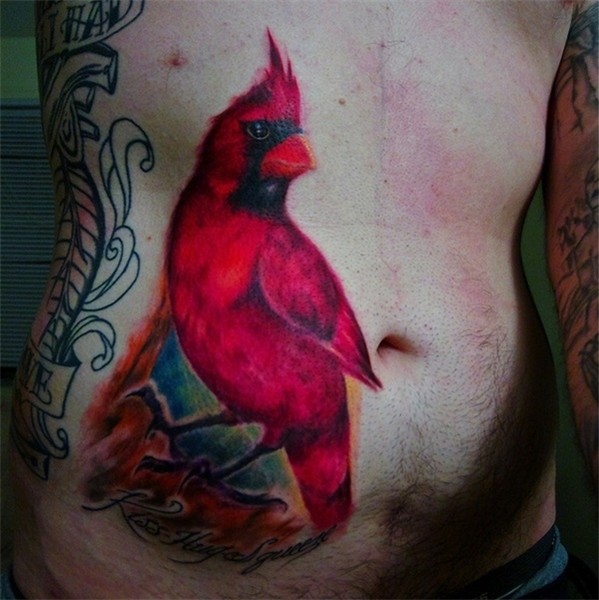 34 Versatile Cardinal Tattoo Designs, Ideas, Pictures & Phot