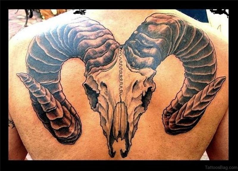 36 Aries Tattoos On Back