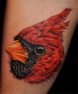 Cardinal Tattoo