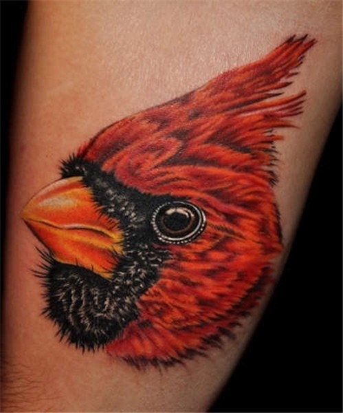43+ Wonderful Cardinal Tattoos