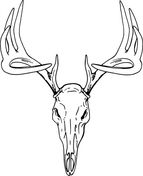45++ Deer skull clipart black and white ideas in 2021 Free C