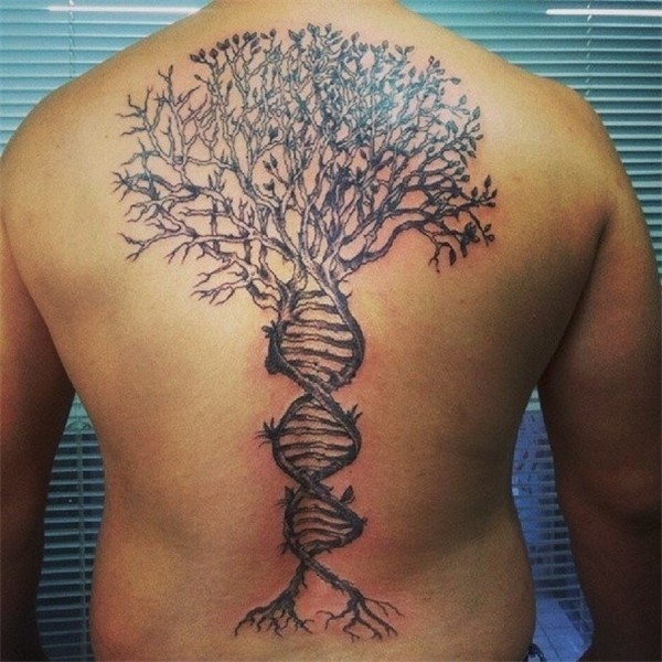 45+ Insanely Gorgeous Tree Tattoos On Back Spiritustattoo.co