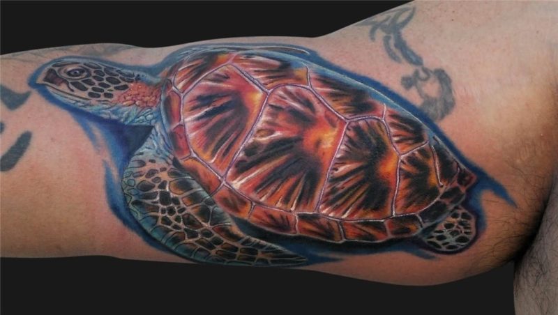50+ Attractive Turtle Tattoos