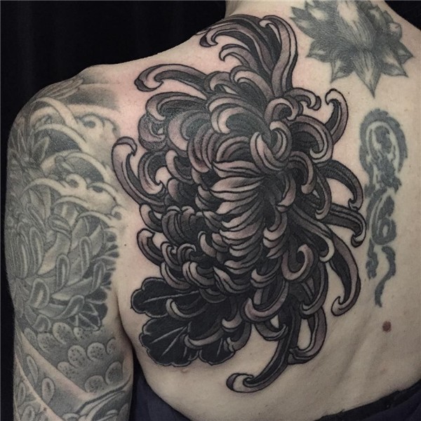 50 Cool Chrysanthemum Tattoo Designs - Great Way to Pass You