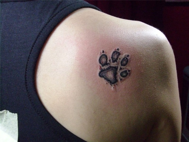 50+ Dog Tattoo Ideas Pawprint tattoo, Dog paw tattoo, Paw ta