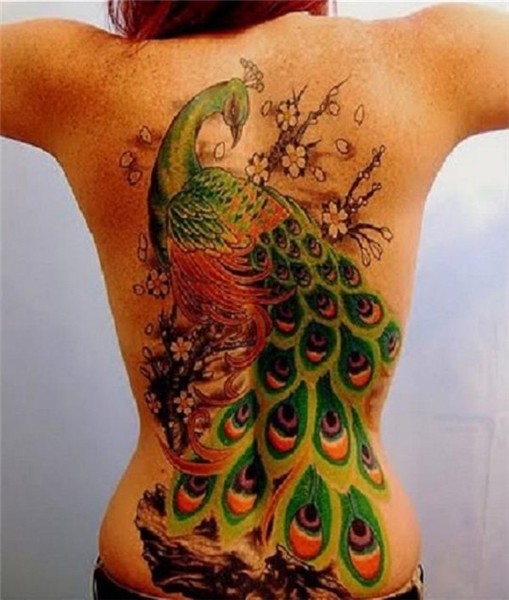 50 Outstanding Peacock tattoo designs Incredible Snaps