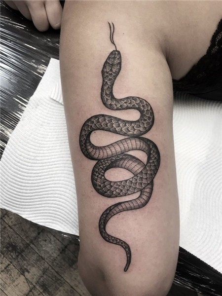 52+ Snake Tattoo Ideas - Today Pin Snake tattoo design, Cool