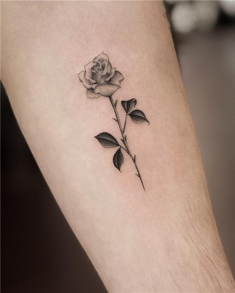 54 Cute Roses Tattoos Ideas Worth Checking Out - Ninja Cosmi