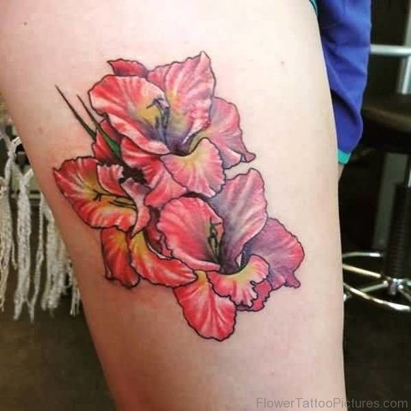 55 Tremendous Gladiolus Flower Tattoos