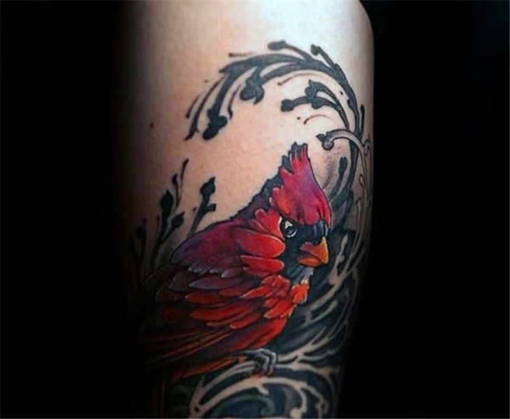 60 Cardinal Tattoo Designs For Men - Bird Ink Ideas Tattoos