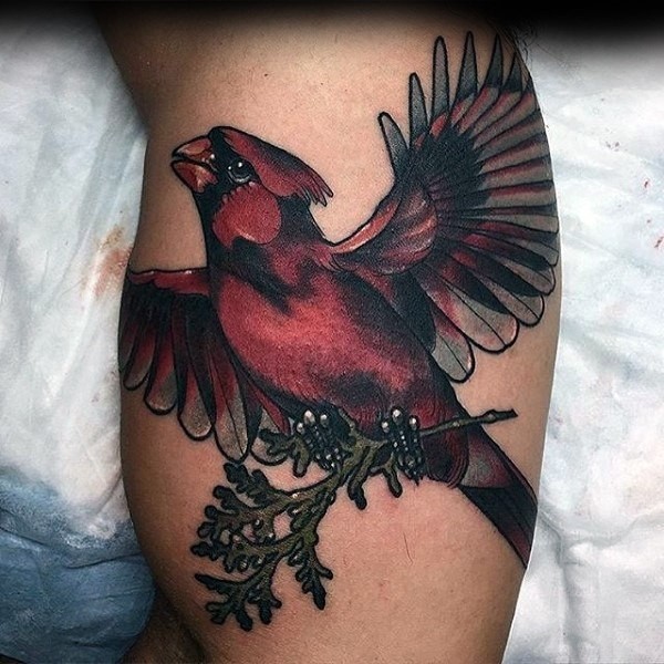 60 Cardinal Tattoo mallit miehille - Bird Ink Ideat