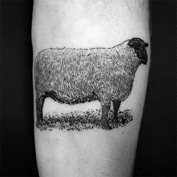 60 Sheep Tattoo Designs For Men - Fleece Ink Ideas Sheep tat