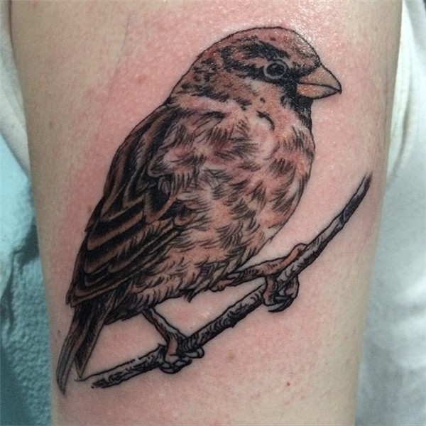 65+ Cute Sparrow Tattoo Designs & Meanings - Spread Your Win