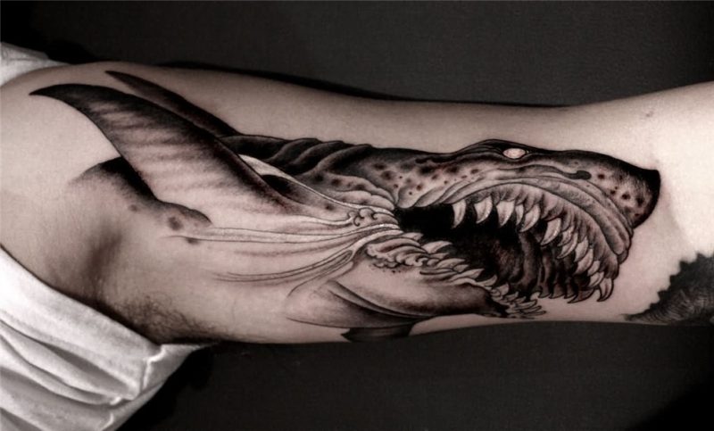 70 Shark Tattoos, Designs & Ideas with Meanings