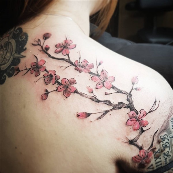 75+ Best Japanese Cherry Blossom Tattoo - Designs & Meanings
