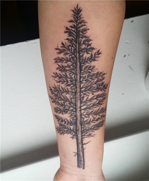 75+ Simple and Easy Pine Tree Tattoo - Designs & Meanings (2