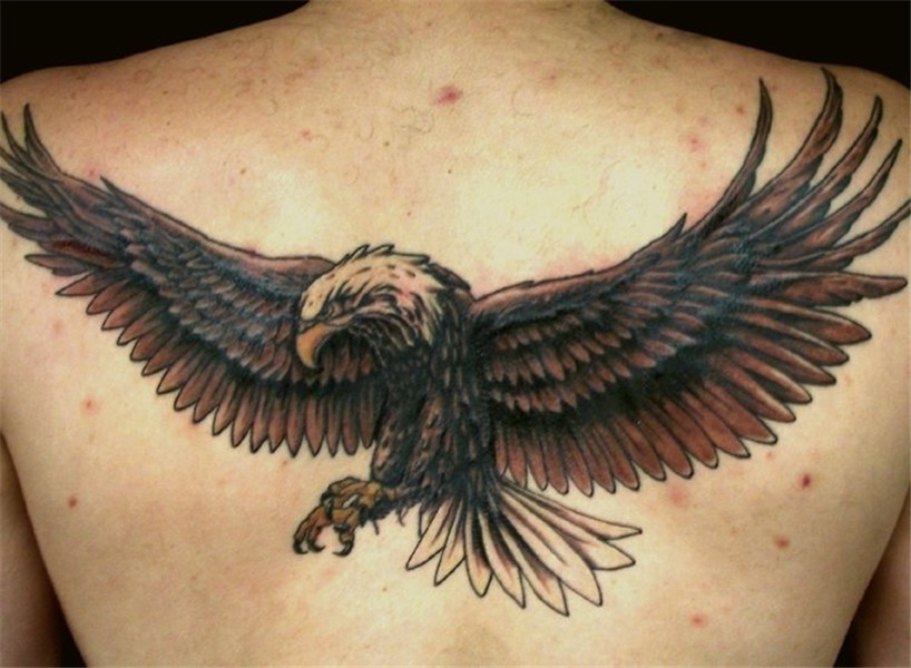 86 majestic eagle tattoos and designs