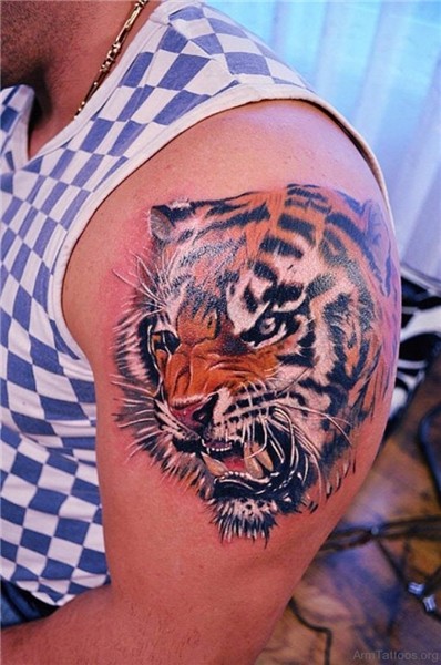 96 Massive Tiger Tattoo On Arm