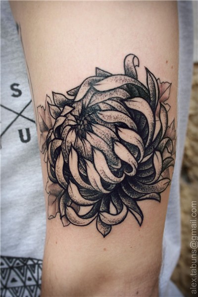 Alex Tabuns Chrysanthemum tattoo, Tattoos, Picture tattoos