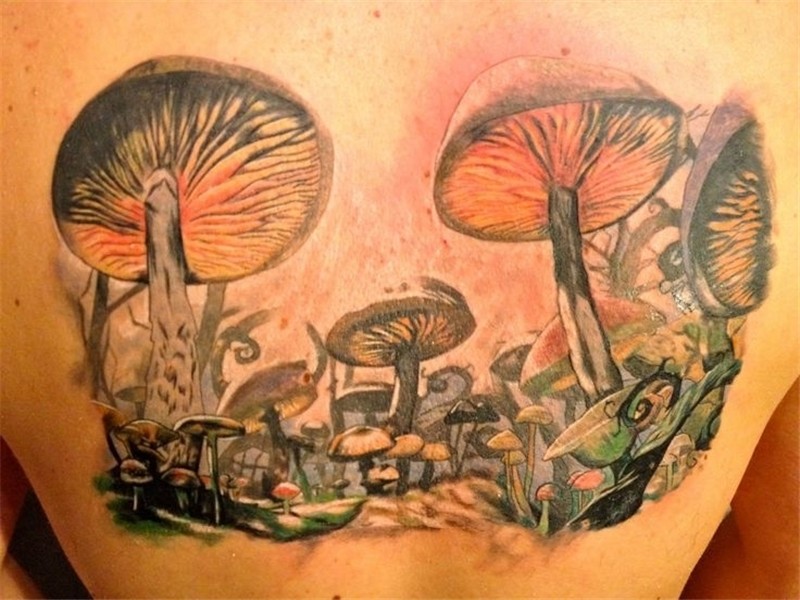 Alice mushrooms Mushroom tattoos, Drawing sketches, Sketches