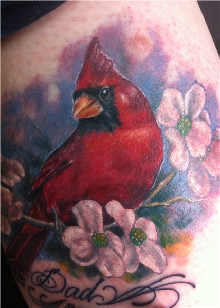 Amazing Cardinal Bird Tattoo Design in 2017: Real Photo, Pic