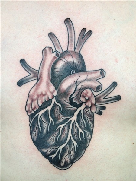 Anatomical Heart Anatomical tattoos, Heart tattoo, Tattoos