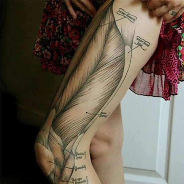 Anatomy Tattoos - Tattoo Ideas, Artists and Models