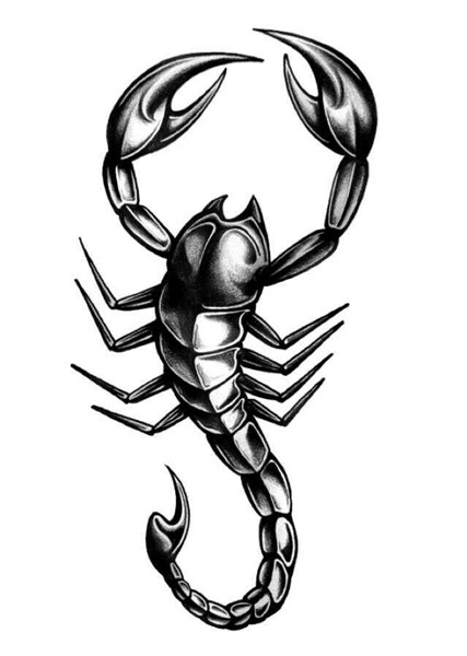 Animal Scorpion tattoo, Picture tattoos, Scorpio tattoo