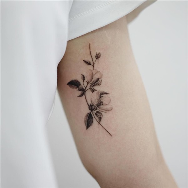 Apple Blossom Apple blossom tattoos, Small forearm tattoos,